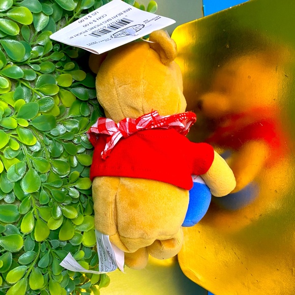 DISNEY STORE EXCLUSIVE NWT 90s PICNIC WINNIE THE POOH & HUNNY POT BEAN BAG PLUSH - Picture 8 of 8